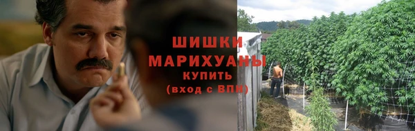 spice Белокуриха