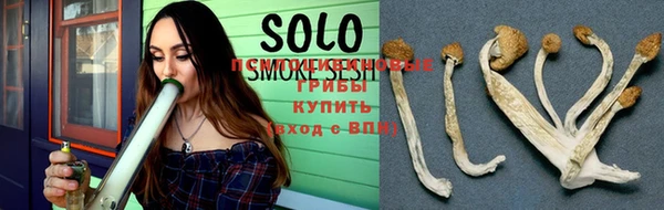 spice Белокуриха