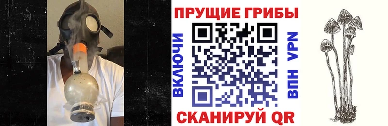 MEGA как войти  Туймазы  Псилоцибиновые грибы Cubensis 